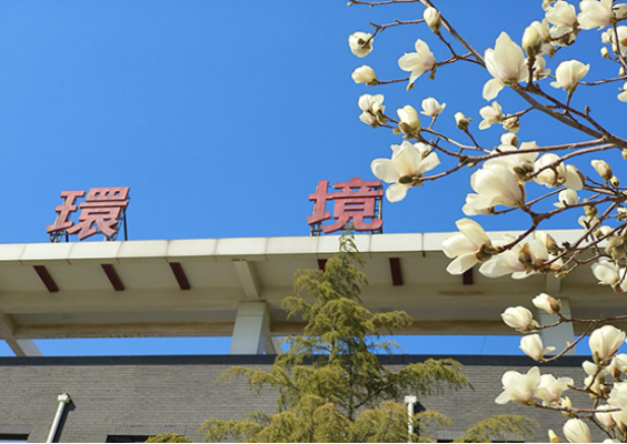 20250320 遇見(jiàn)·春天,解鎖海螺新材的春日浪漫119 20250320 遇見(jiàn)·春天,解鎖海螺新材的春日浪漫119